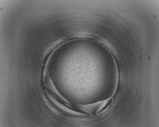 X0000084600397200703021631