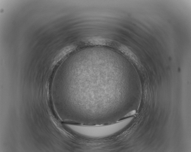 X0000084600398200703021631