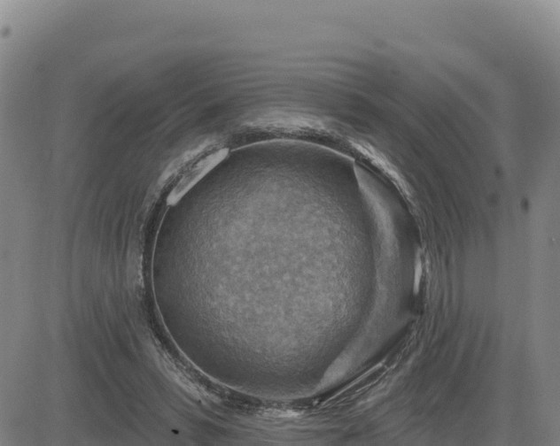 X0000084600399200703021631