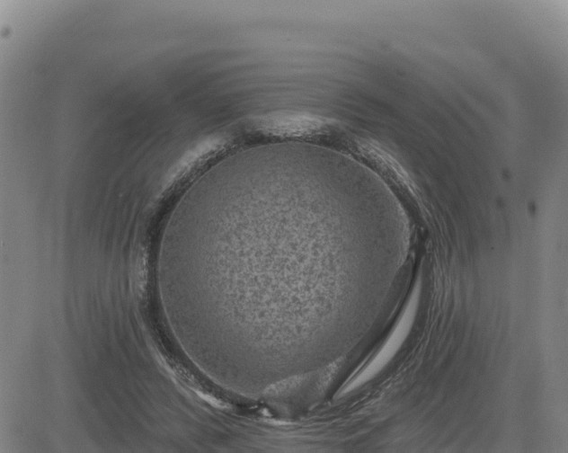 X0000084600400200703021631