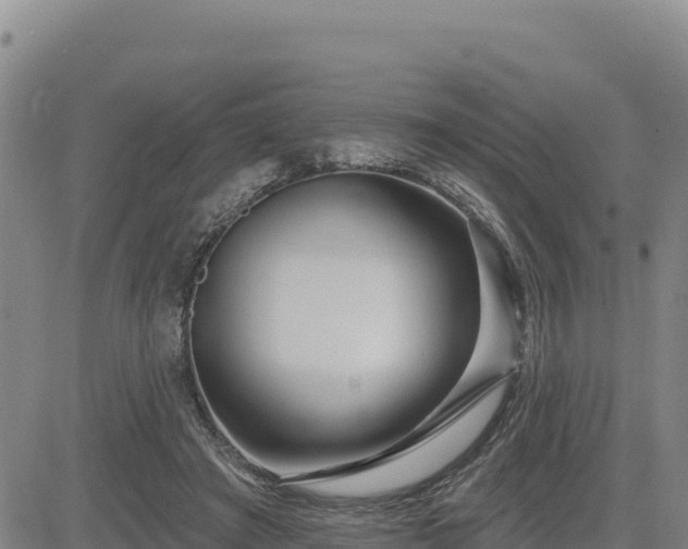 X0000084600401200703021631