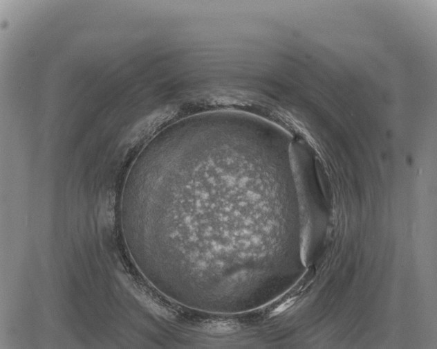 X0000084600402200703021631