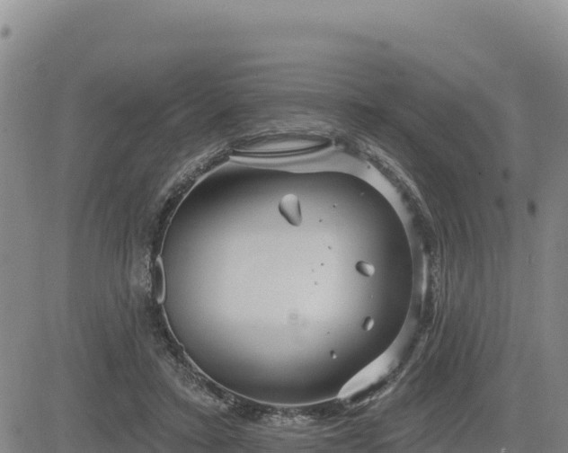 X0000084600403200703021631