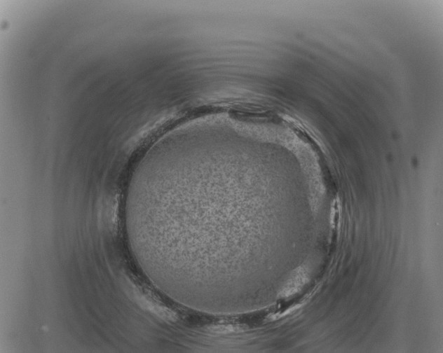 X0000084600404200703021631