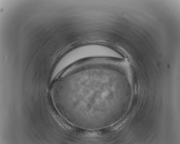 X0000084600405200703021631