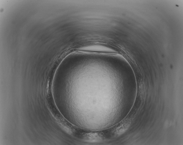 X0000084600406200703021631