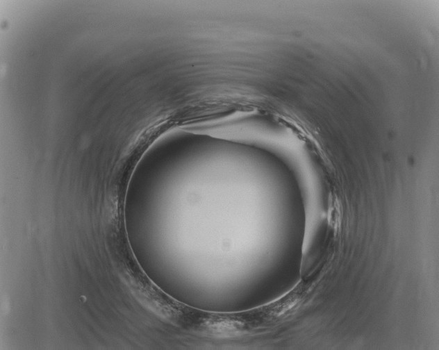 X0000084600407200703021631