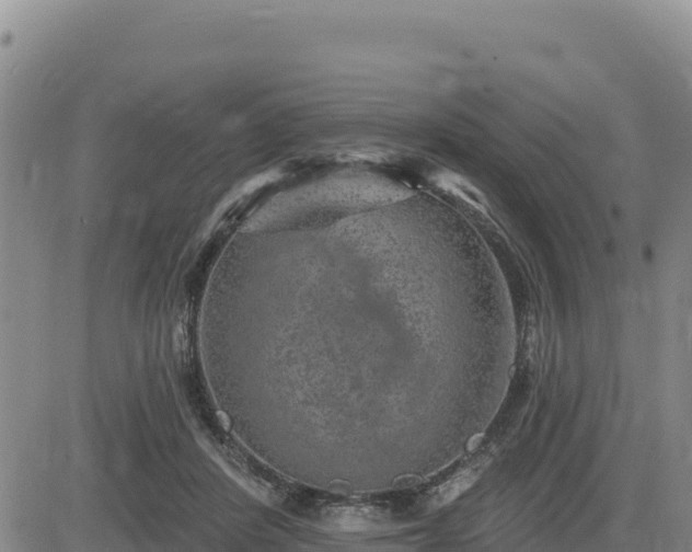 X0000084600408200703021631