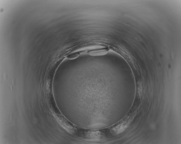 X0000084600410200703021631