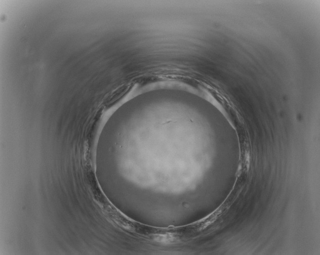 X0000084600411200703021631