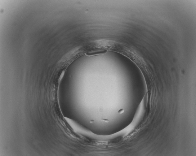 X0000084600413200703021631