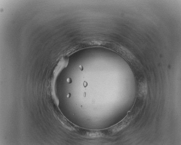 X0000084600414200703021631