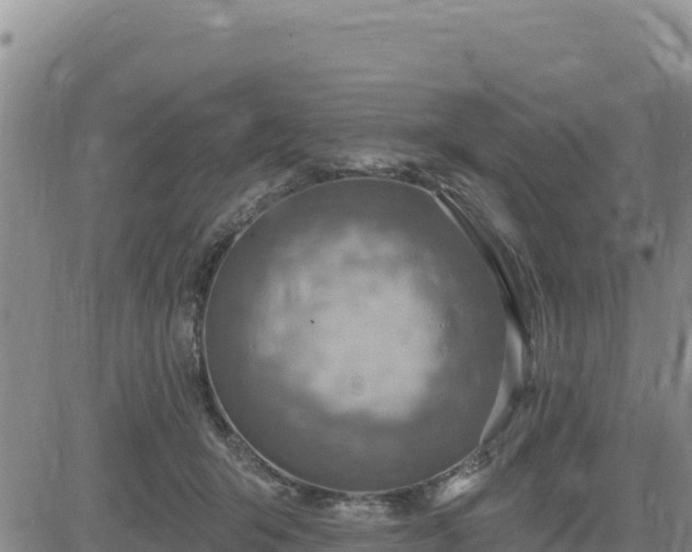 X0000084600415200703021631