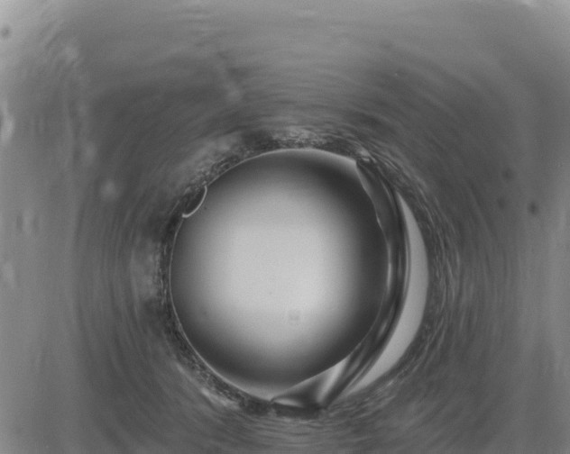 X0000084600416200703021631