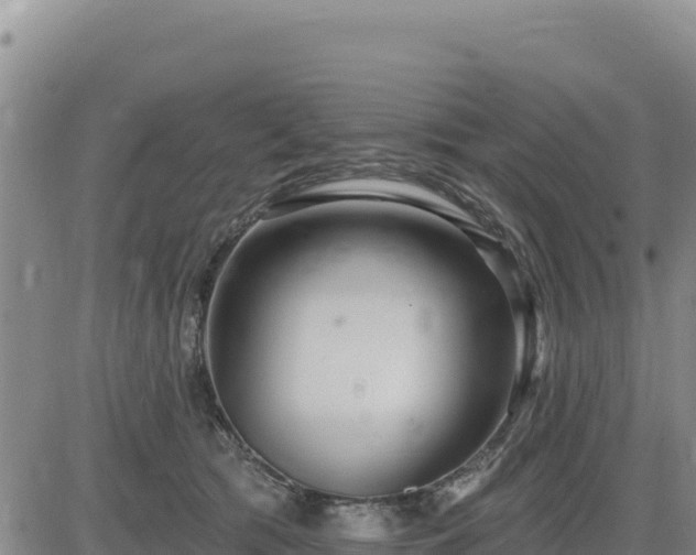 X0000084600417200703021631