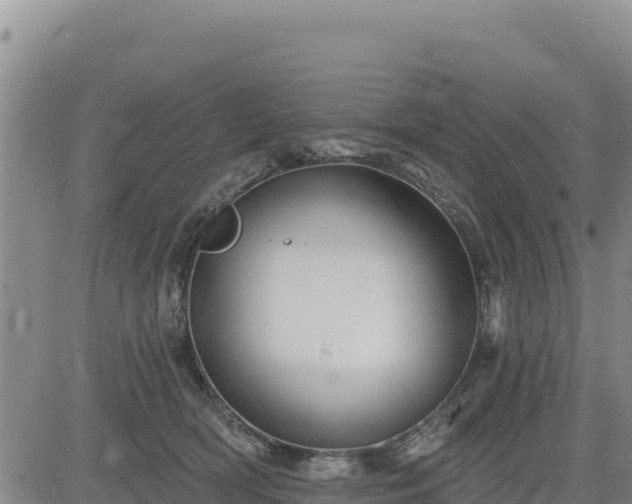 X0000084600418200703021631