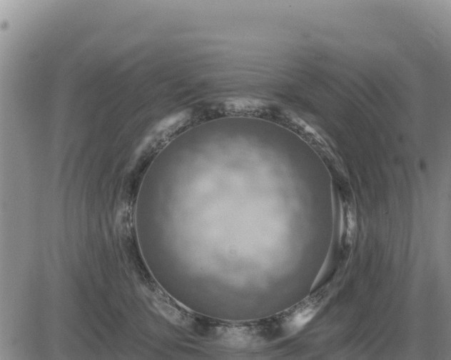 X0000084600419200703021631