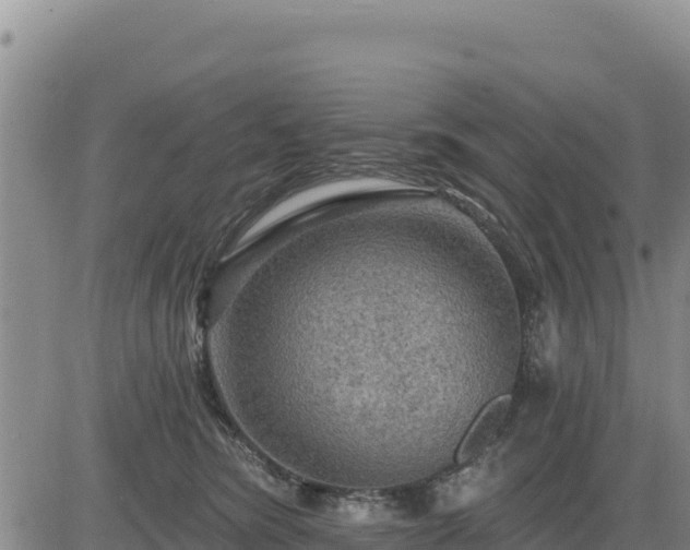 X0000084600420200703021631