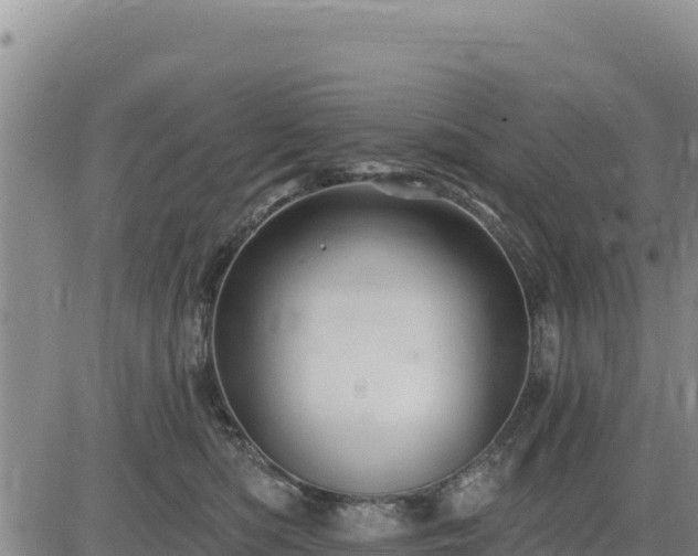 X0000084600422200703021631