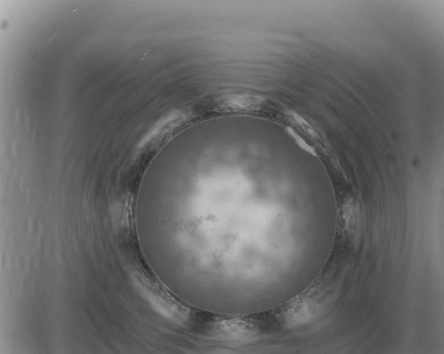 X0000084600423200703021631