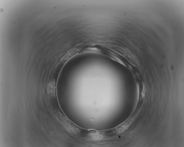 X0000084600425200703021631