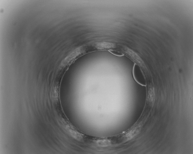 X0000084600426200703021631