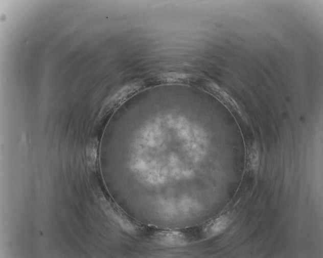 X0000084600427200703021631