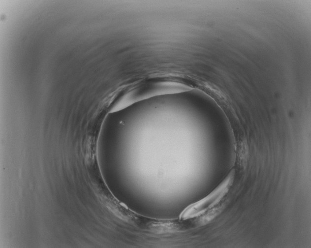 X0000084600428200703021631