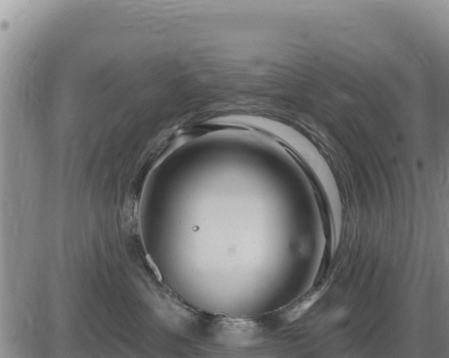 X0000084600429200703021631