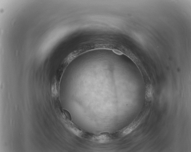 X0000084600431200703021631