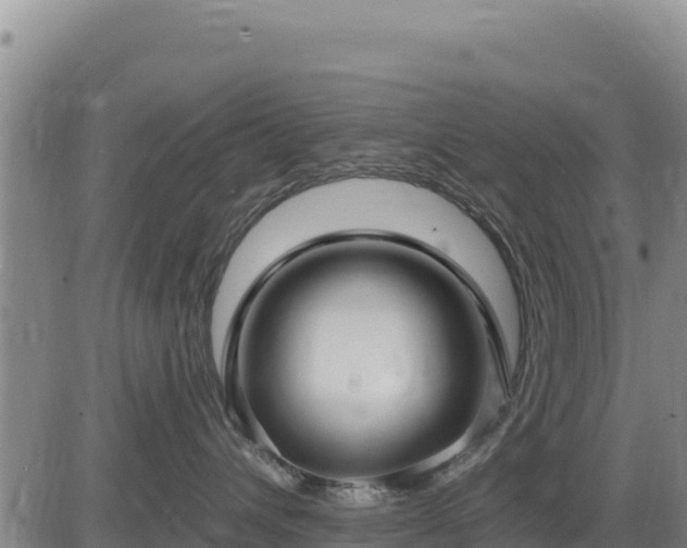 X0000084600432200703021631