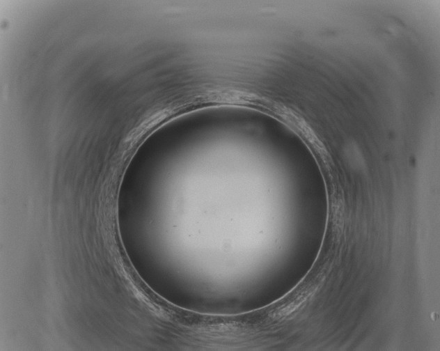 X0000084600433200703021630