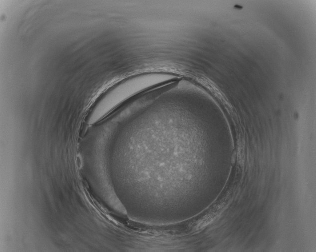 X0000084600434200703021630