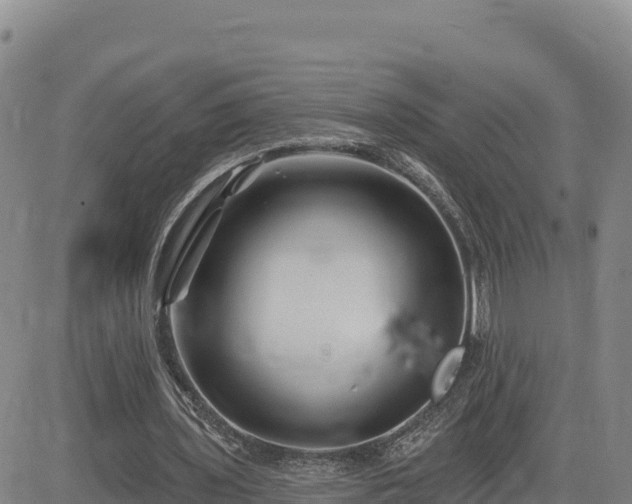 X0000084600435200703021630