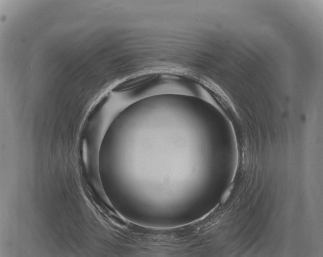 X0000084600436200703021630