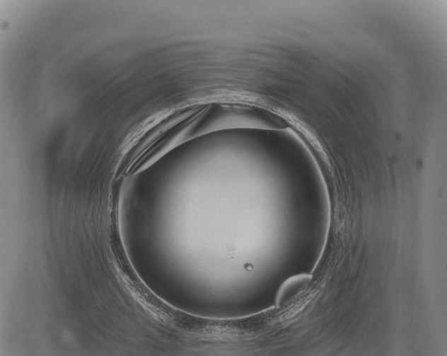 X0000084600437200703021630