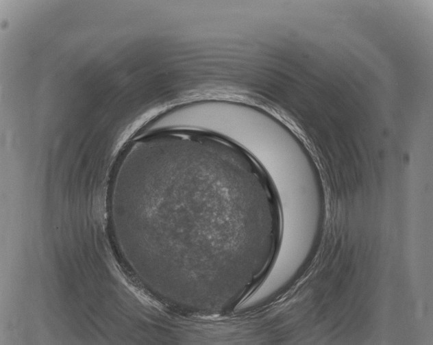 X0000084600438200703021630