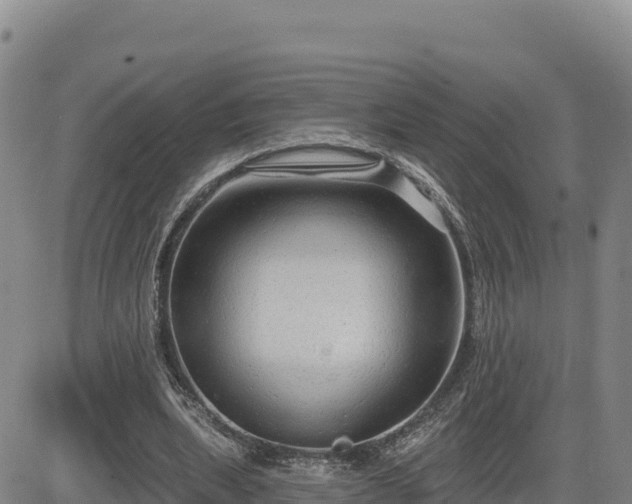 X0000084600439200703021630