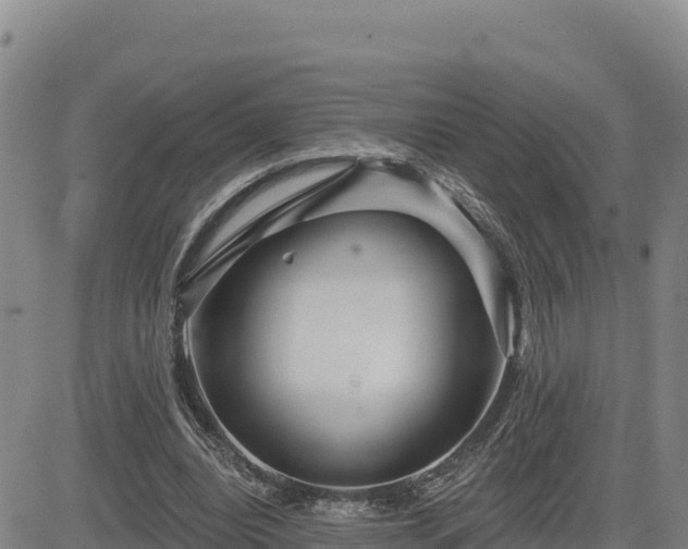 X0000084600440200703021630