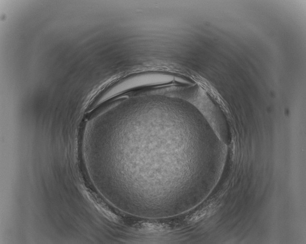 X0000084600442200703021630