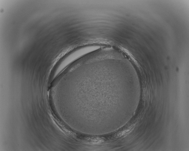 X0000084600443200703021630