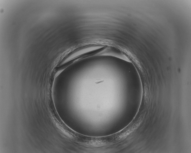 X0000084600445200703021630