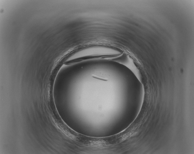 X0000084600446200703021630