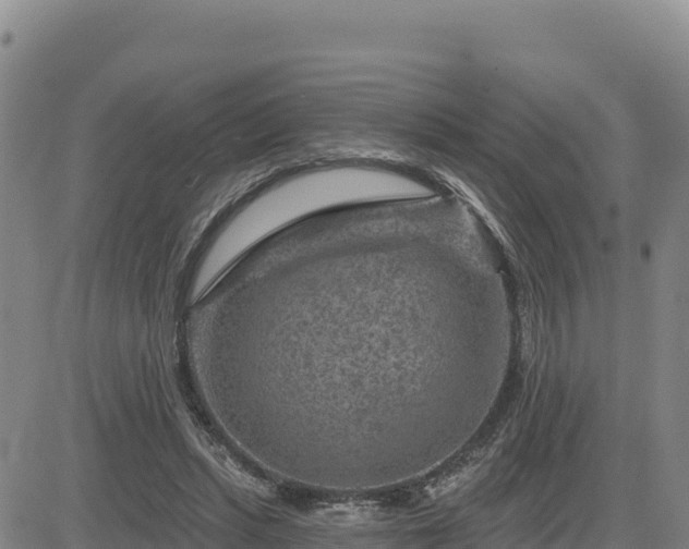 X0000084600447200703021630