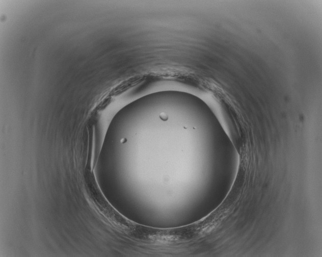 X0000084600448200703021630