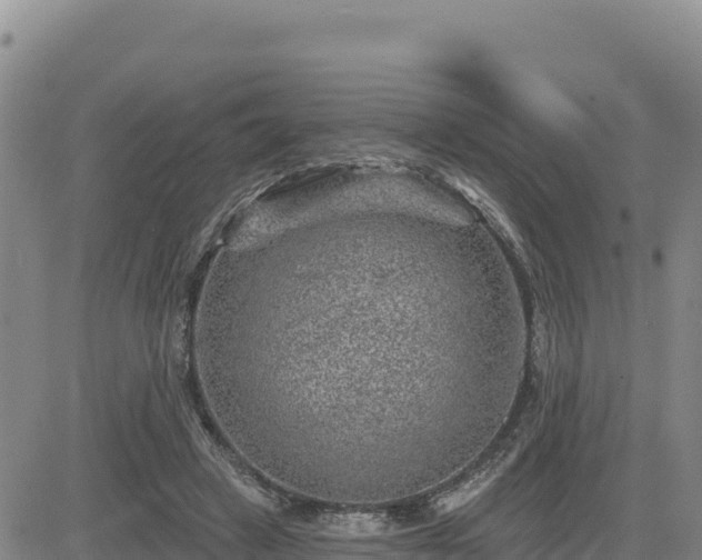 X0000084600449200703021630