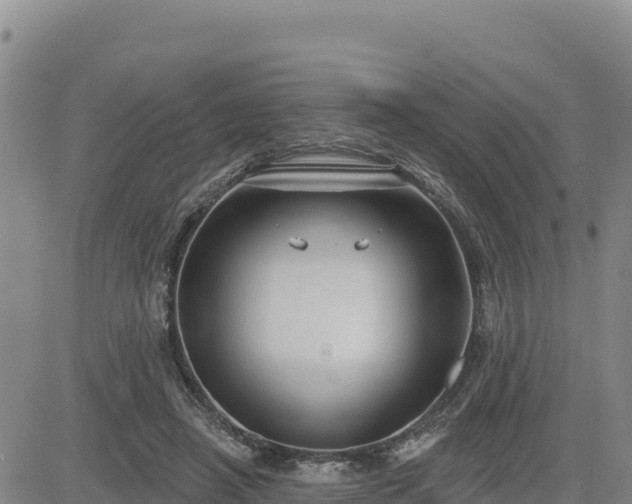 X0000084600450200703021630