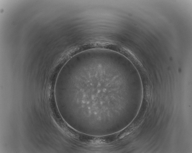 X0000084600451200703021630