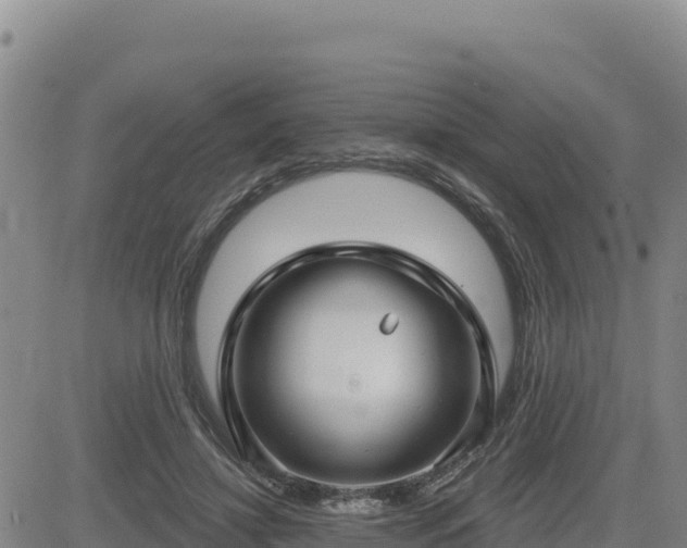 X0000084600452200703021630