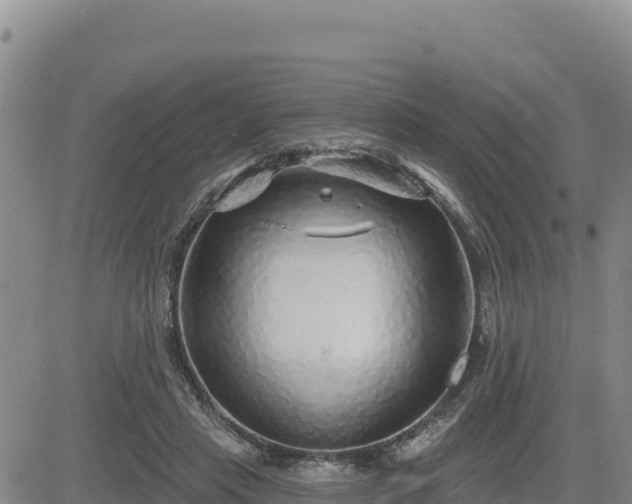 X0000084600453200703021630